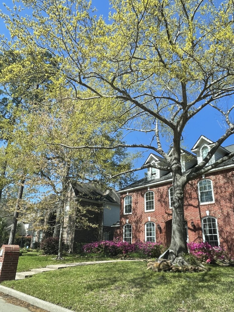 Suburban Images of District